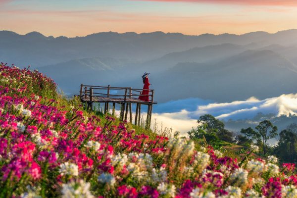 Georgia: an unexpected Valentine's delight​